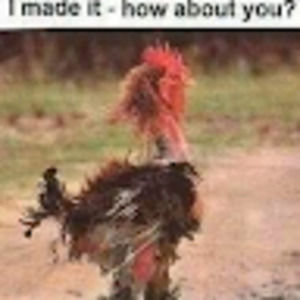 Meet your Posher, Praveen